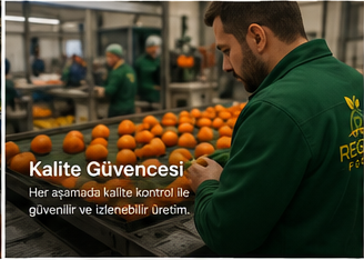 Kalite kontrol süreci